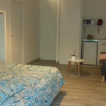 Studio Dans Quartier Calme Pres De *